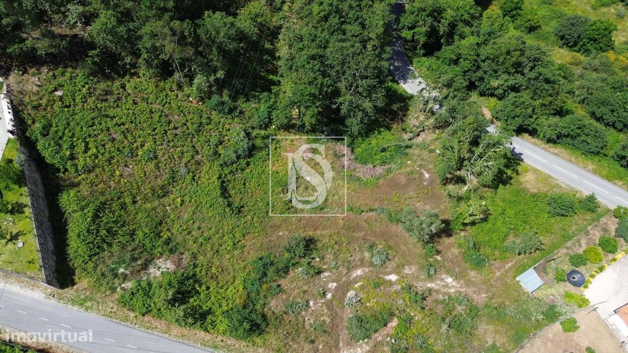 Terreno da Macieira - Grande imagem: 2/22