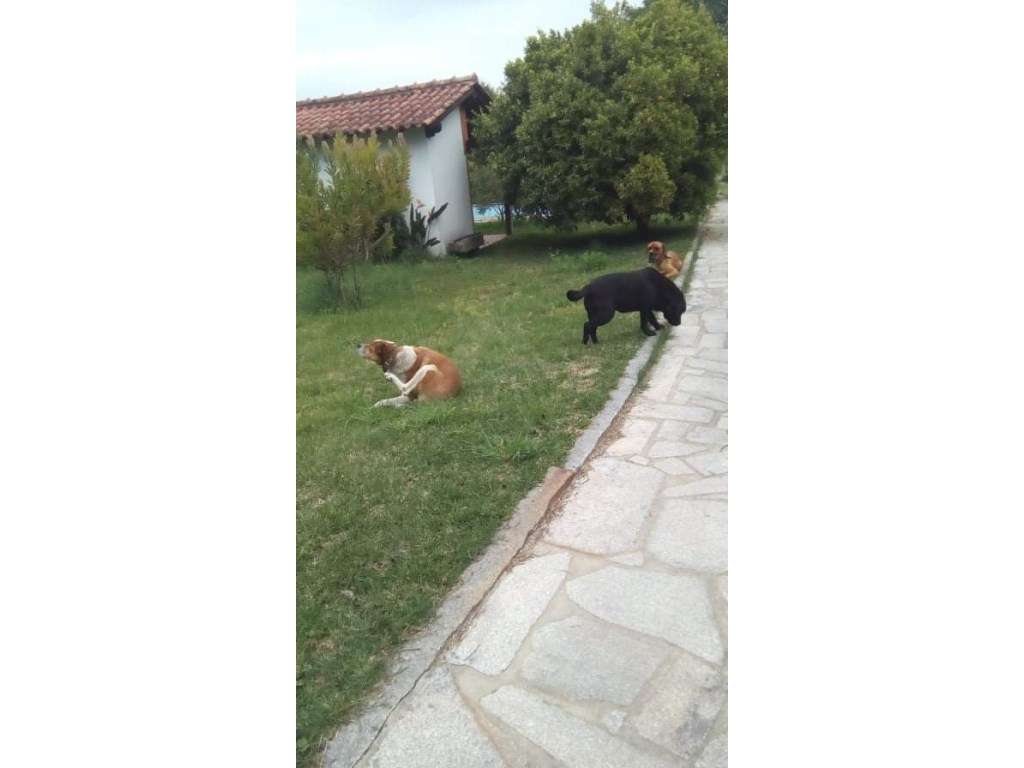 Quinta com 2 hectares, em Santa Comba - Grande imagem: 5/29