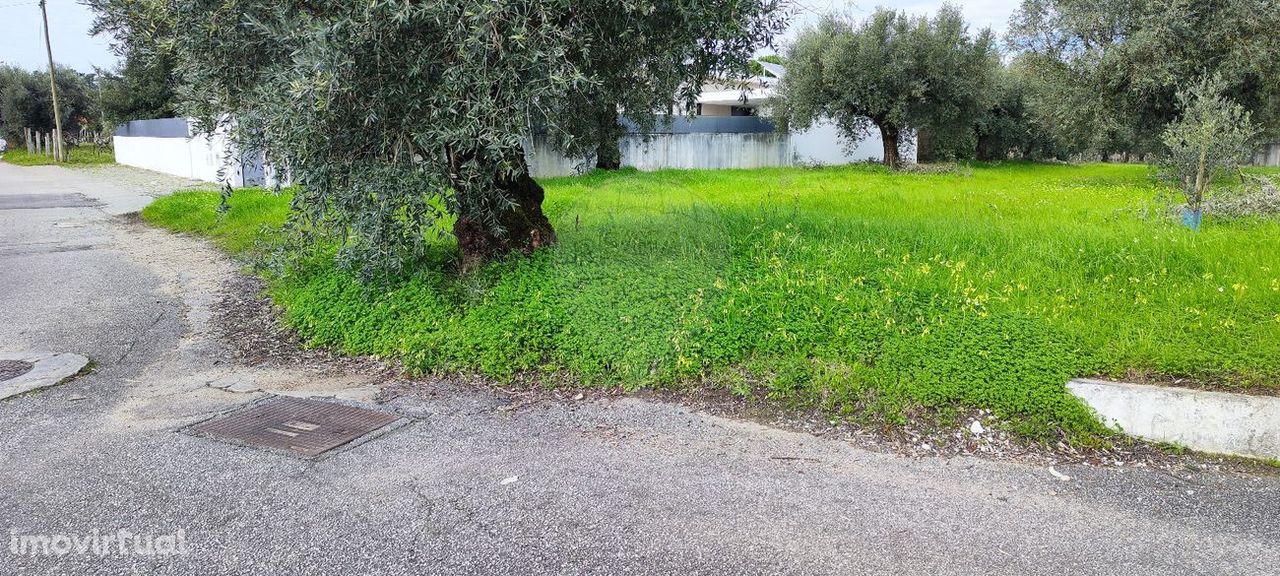 Terreno  para venda