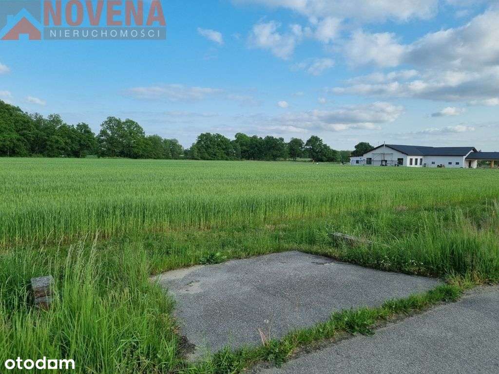 Działka inwestycyjna/Mpzp - Pełny obrazek: 4/9