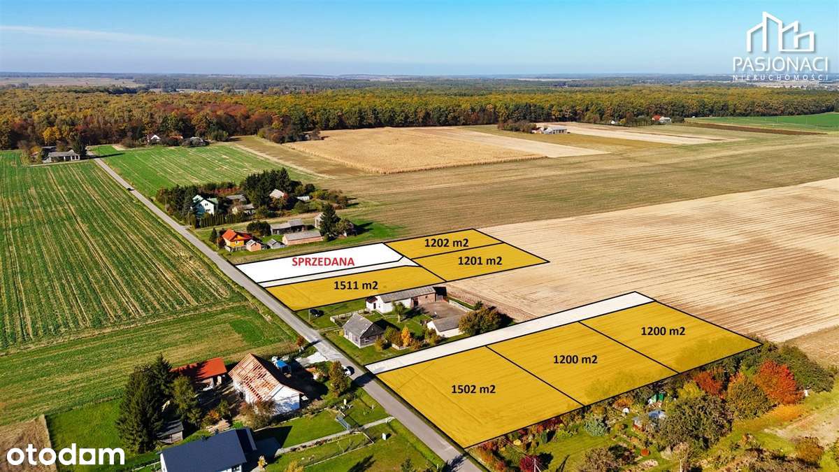 Działki budowlane Kolonia Kiełczewice Dolne - Pełny obrazek: 3/10