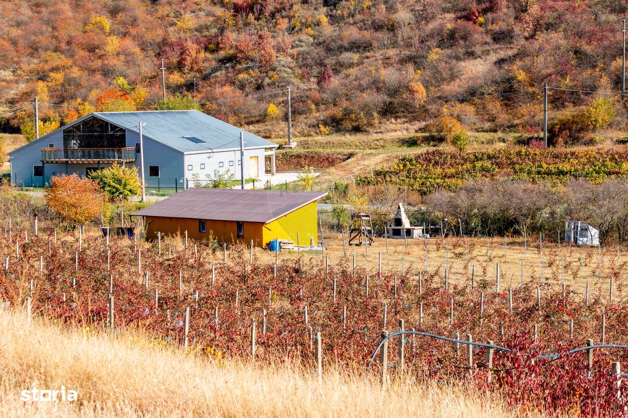 Oportunitate de investitie - Teren de vanzare I 4 ha I certificat ECO - Imagine principală: 5/7