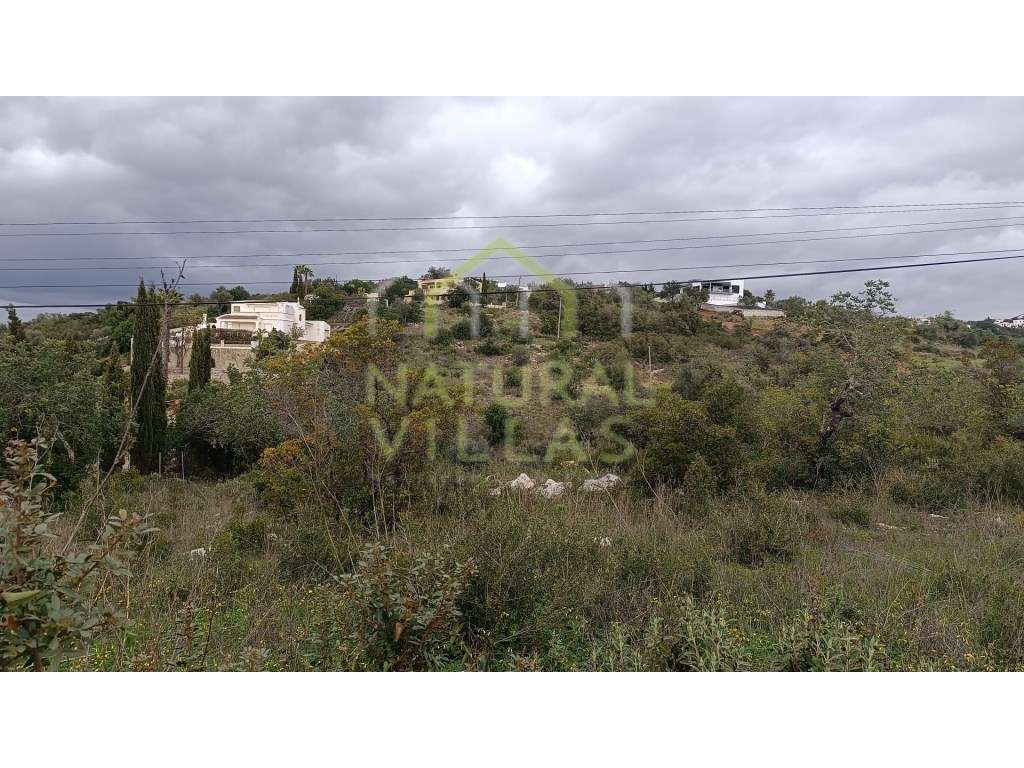 Terreno Rústico em Gorjões, Santa Bárbara de Nexe - Grande imagem: 2/4