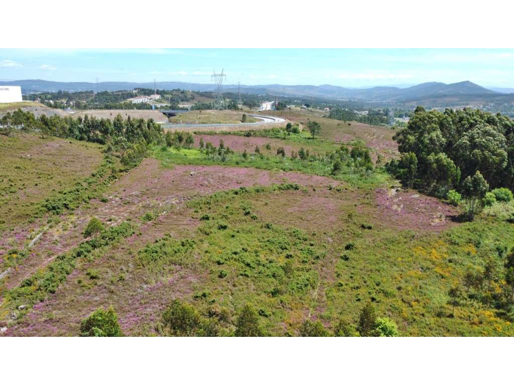 Terreno industrial junto à A41 - Grande imagem: 4/10