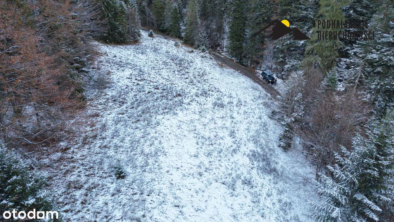 Polana w Gorcach w spokojnej okolicy-6