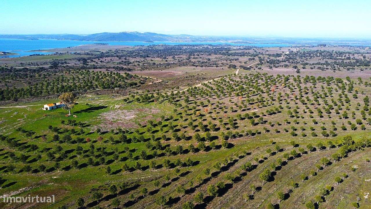 Herdade junto ao Lago de Alqueva - Mourão-10