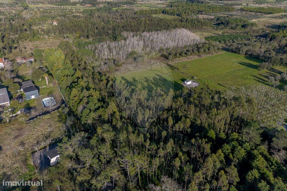 Terreno  para venda - Grande imagem: 5/15