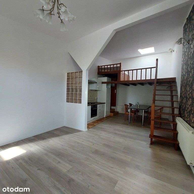 Lokal z osobnym wejściem i parkingniem - Pełny obrazek: 5/12