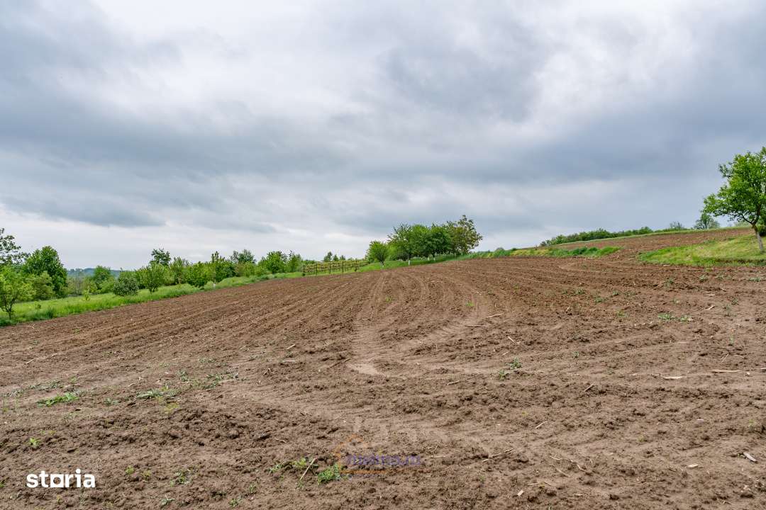 Casa din chirpici, bucatarie de vara si 1.34 ha de teren, Ardeoani-18