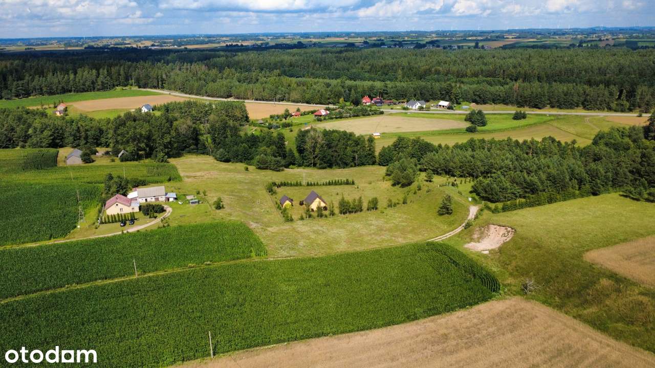 Bakałarzewo - działka z warunkami zabudowy - Pełny obrazek: 4/8