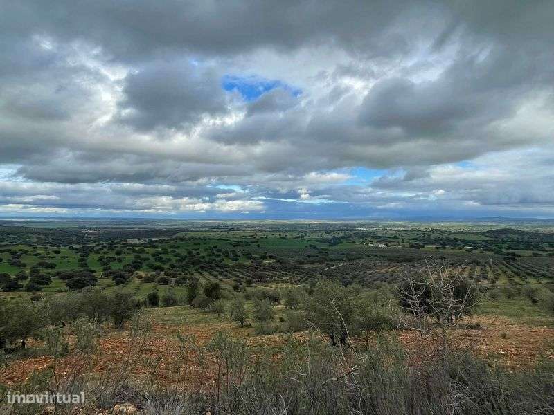 Terreno rústico 1 hectare, Sobral da Adiça, Moura. - Grande imagem: 4/8
