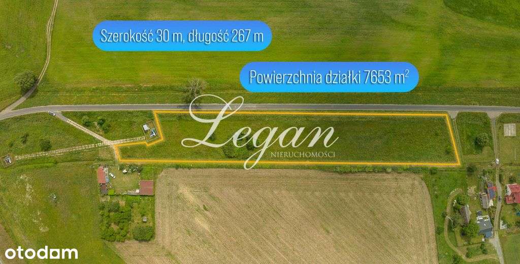 Duża działka z potencjałem - Wieprzyce - Pełny obrazek: 4/4