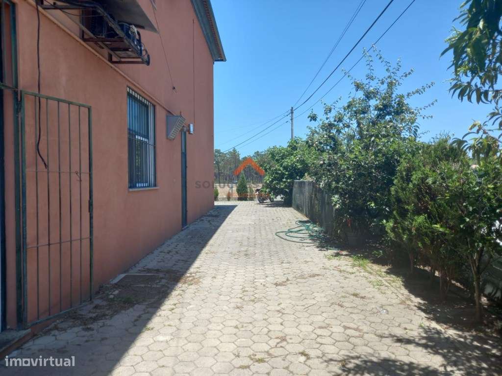 Restaurante em Vagos - Grande imagem: 5/16