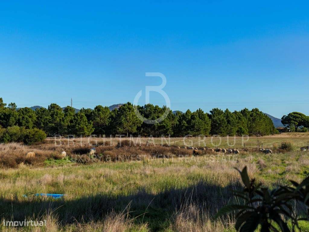 Quinta em Milfontes com forte viabilidade para Turismo Rural - Grande imagem: 5/8