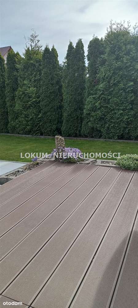 Libowiec-połowa bliźniaka-13