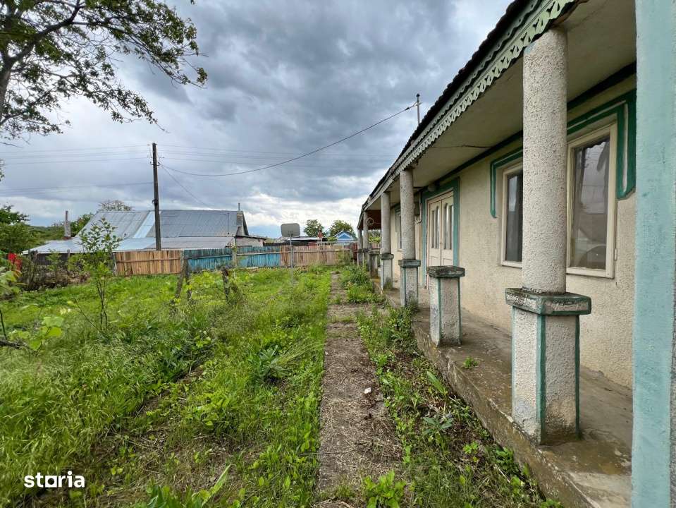 Casa + teren 4430 mp, vie si pomi fructiferi, 22 km de Tecuci-5