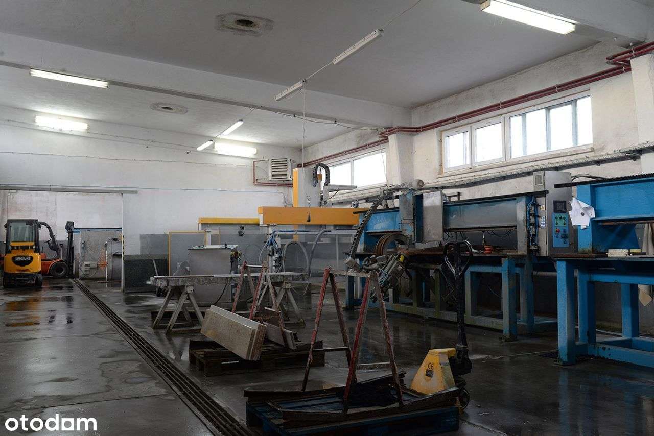 Sprzedam: hala + biura 745 m², działka 9097 m² – logistyczny potencjał - Pełny obrazek: 5/13