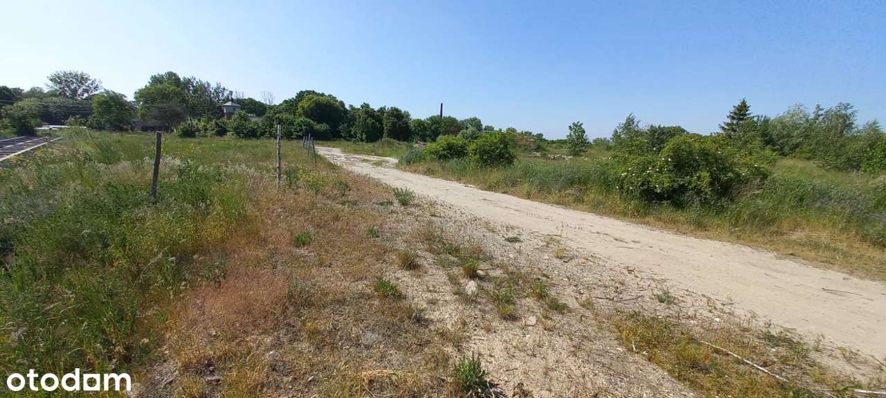 Bytyń za Tarnowem Podgórnym - Pełny obrazek: 5/5