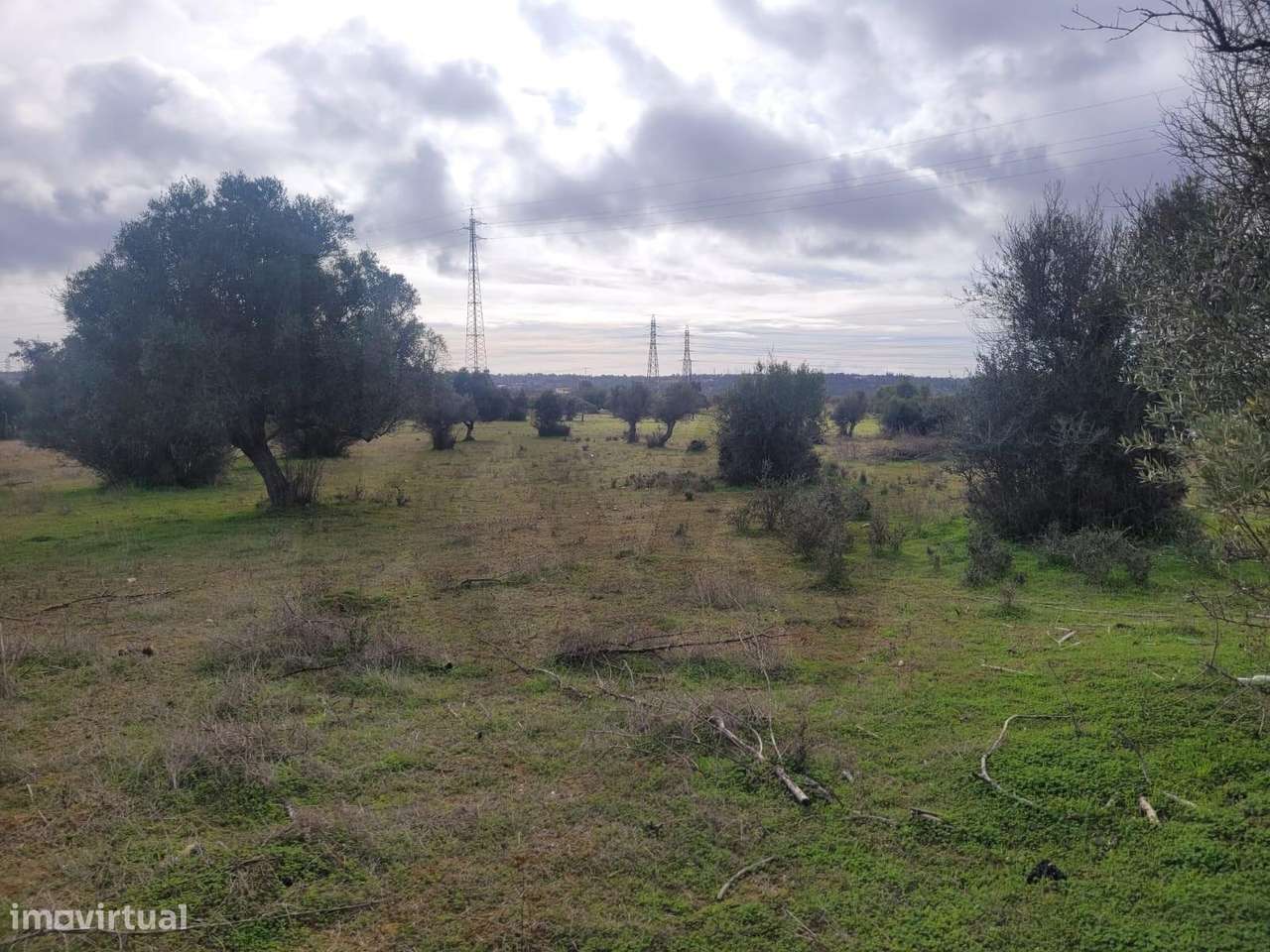 DOIS TERRENOS RÚSTICOS COM O TOTAL DE 12160M2 PARA VENDA EM CORTEZÕES- - Grande imagem: 5/16