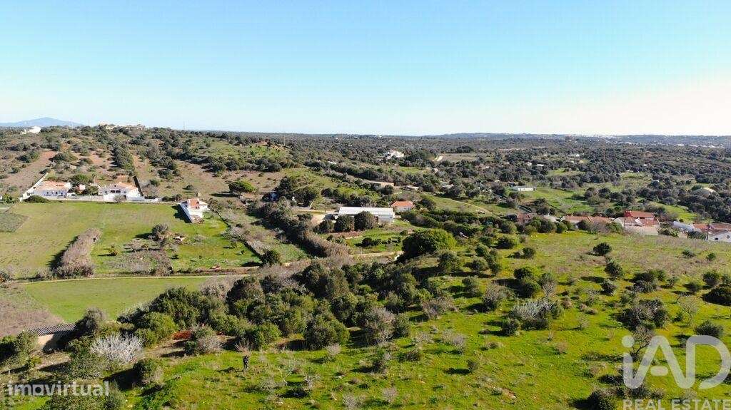 Terreno de Lazer em Barão de São Miguel - Grande imagem: 5/30