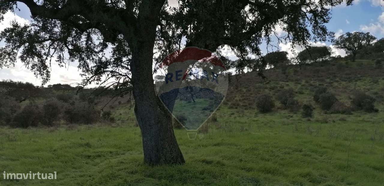 Terreno  para venda - Grande imagem: 5/20