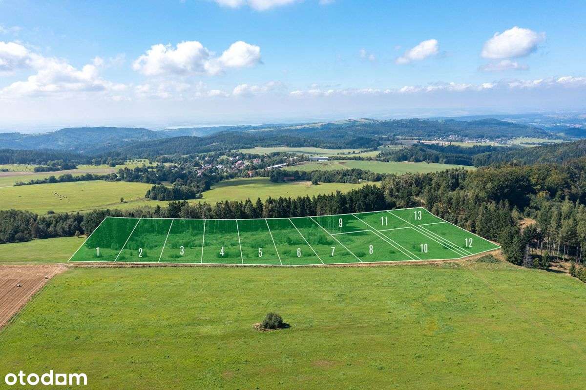 Działka widokowa z własnym lasem-6