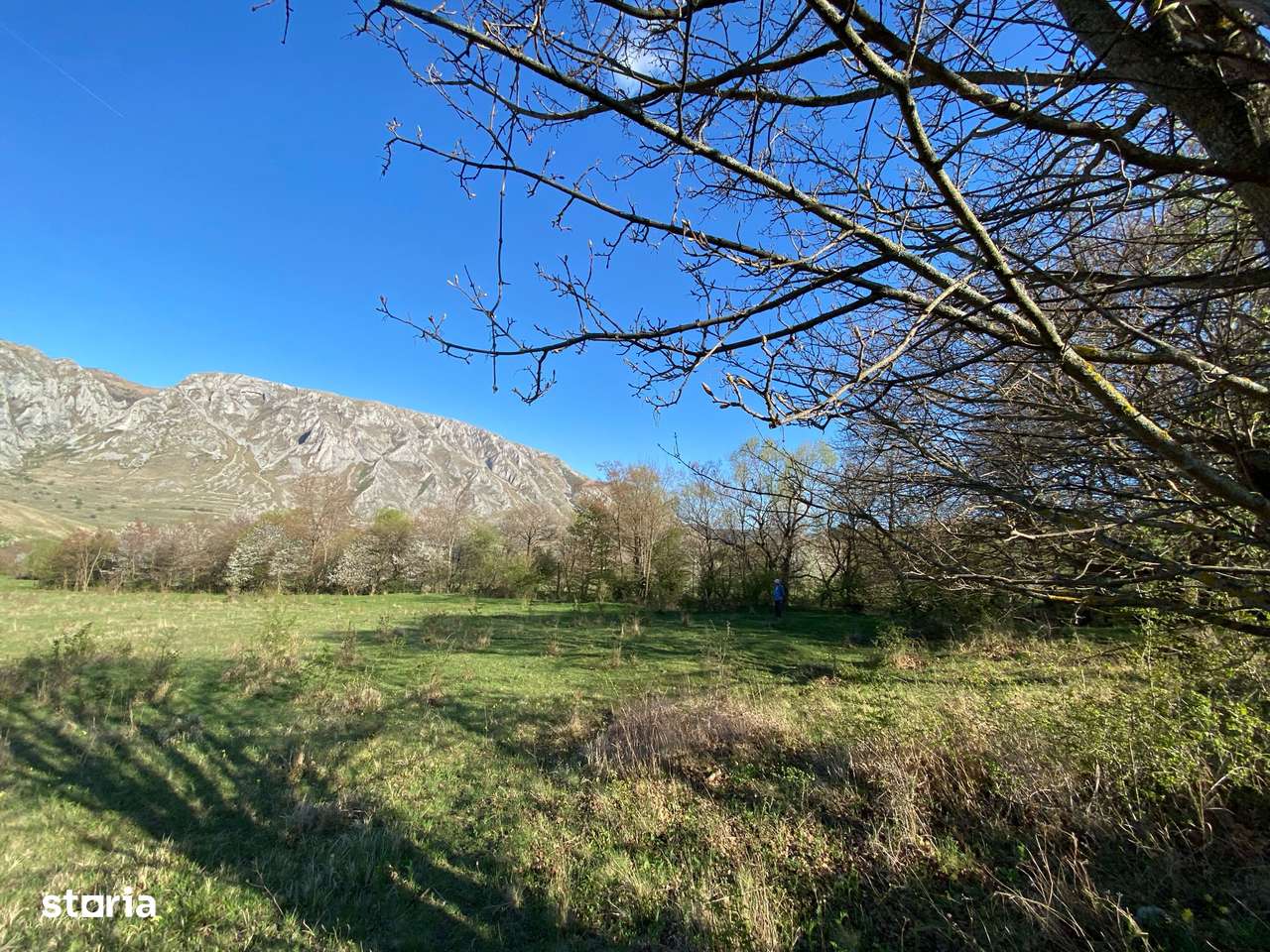 Teren 3.800 m² Rimetea – priveliști larg deschise, intimitate, pârâu - Imagine principală: 3/8