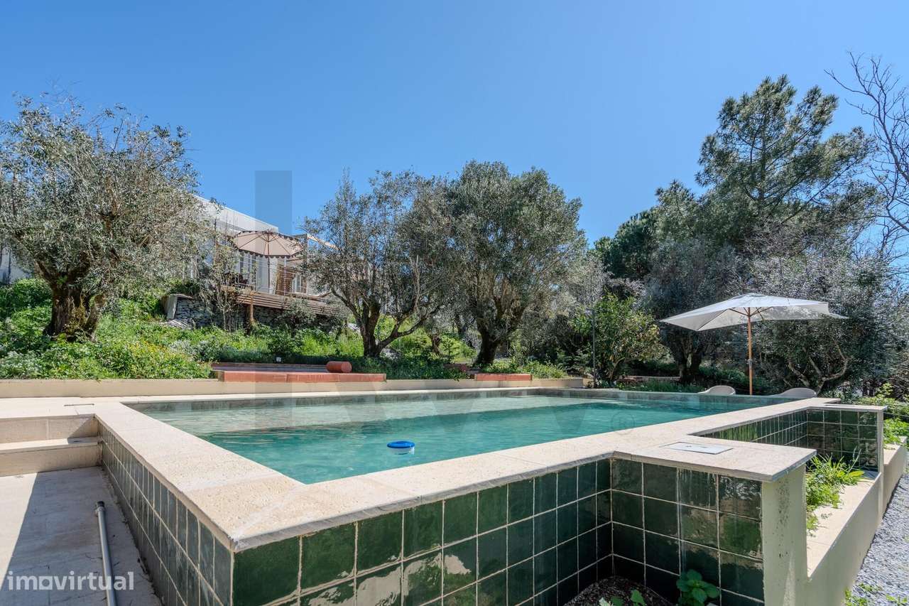 O Último Tesouro de Castelo de Vide - Grande imagem: 3/60