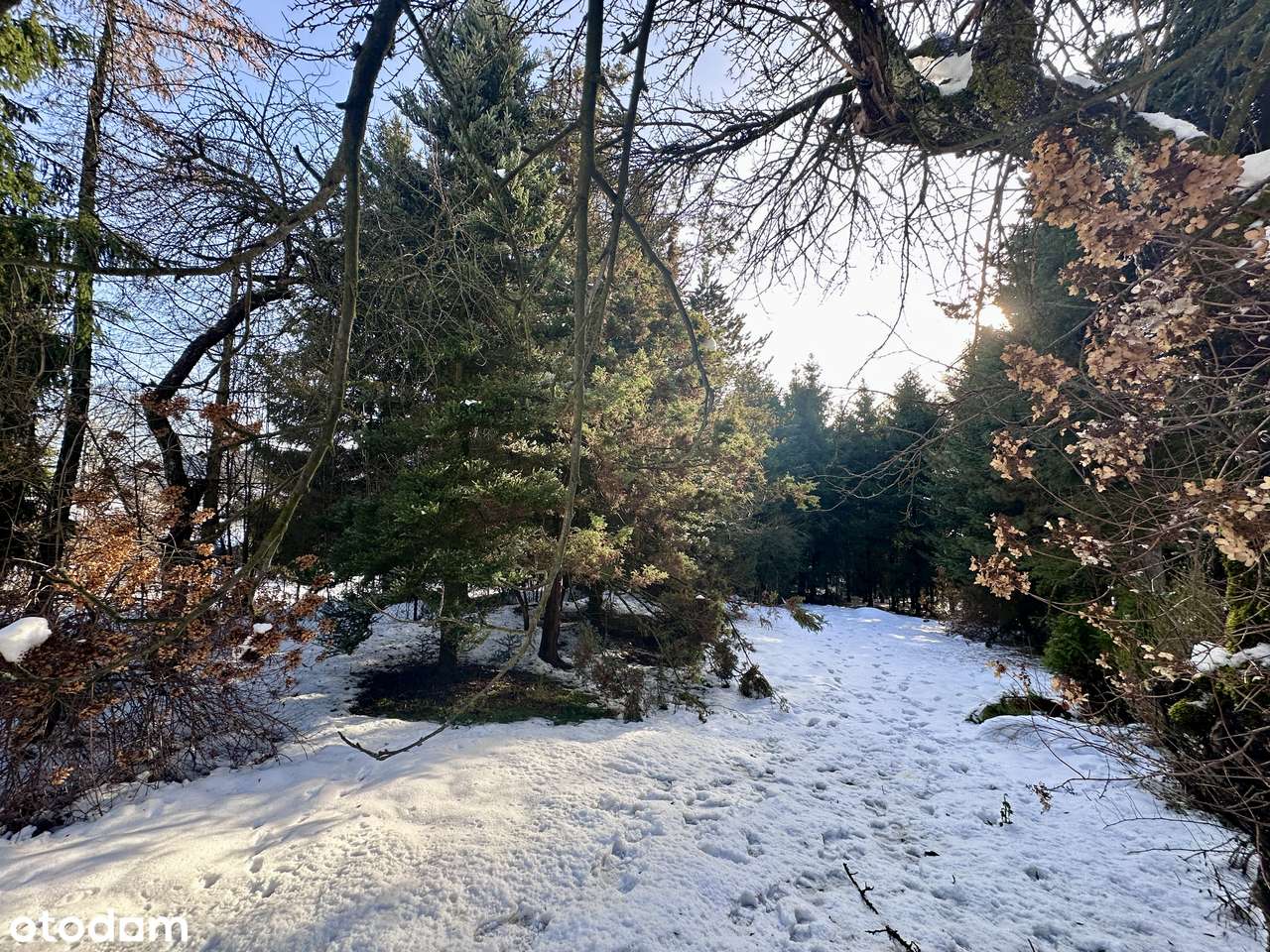 Klimatyczny dom z duszą otoczony naturą - Pełny obrazek: 5/19