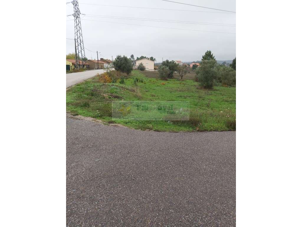 Terreno - Tomar - Grande imagem: 3/3