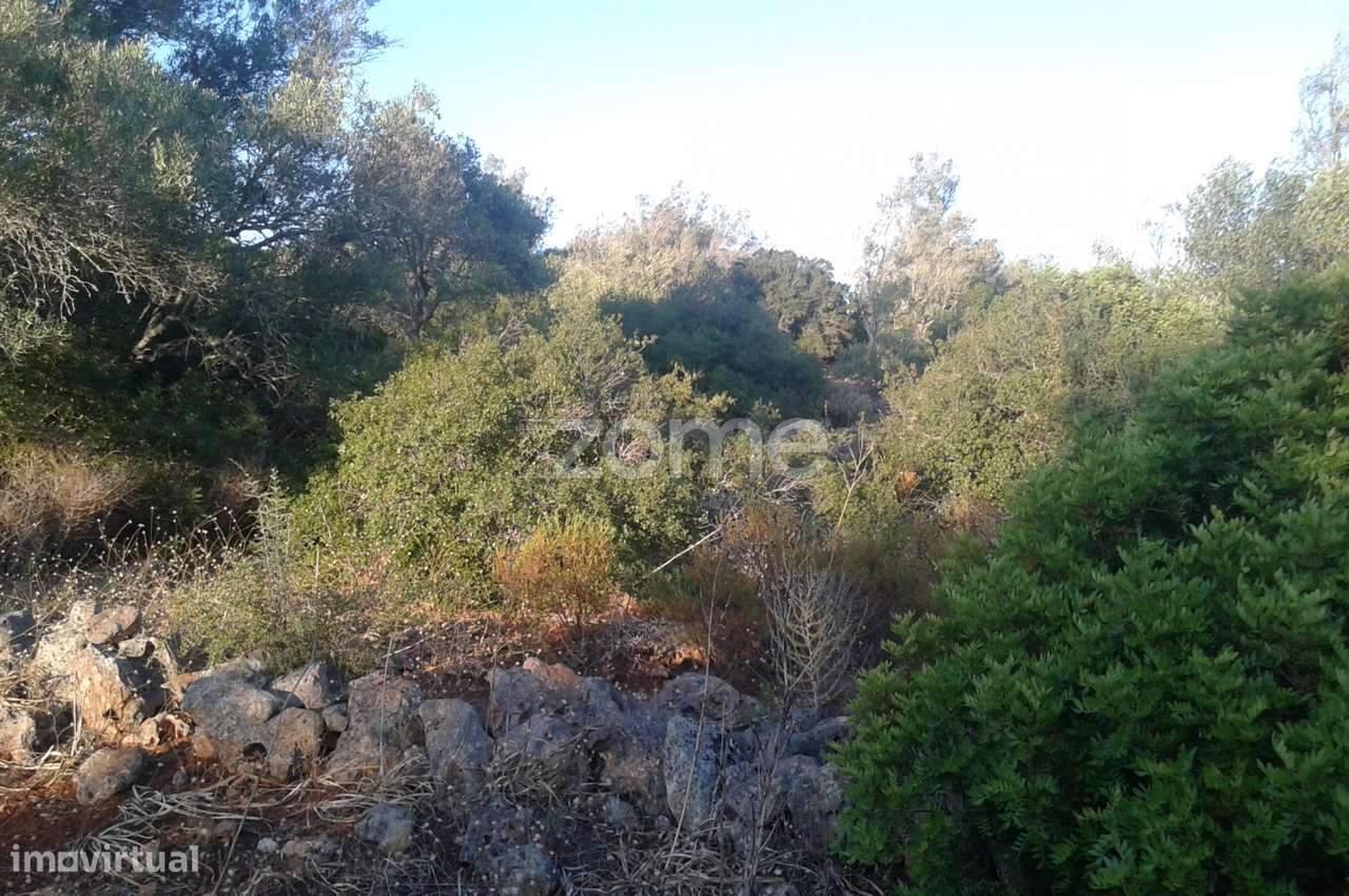 Terreno rústico em Alcaria, Messines, com 34.600m2 - Grande imagem: 2/19