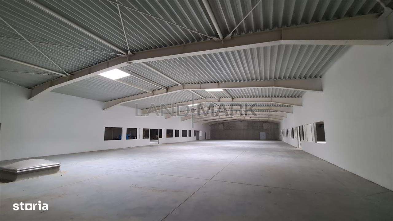 Hala productie de vanzare Timisoara - Exterior Nord-3