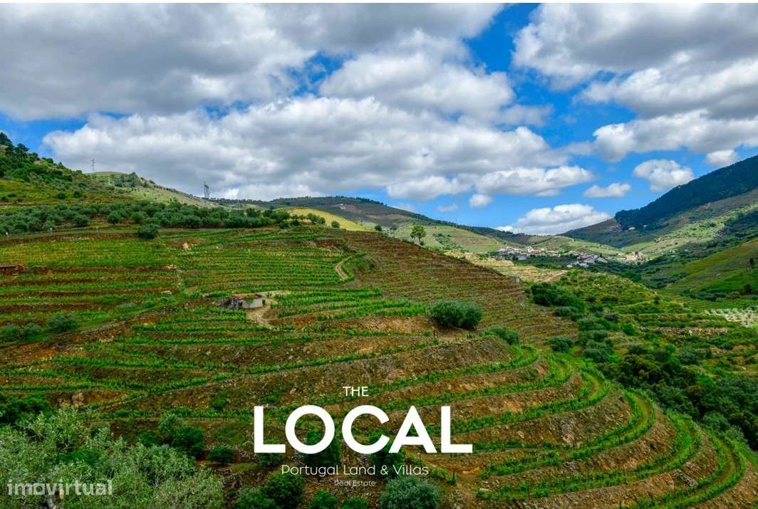 QUINTA HISTÓRICA DO DOURO - Grande imagem: 5/24