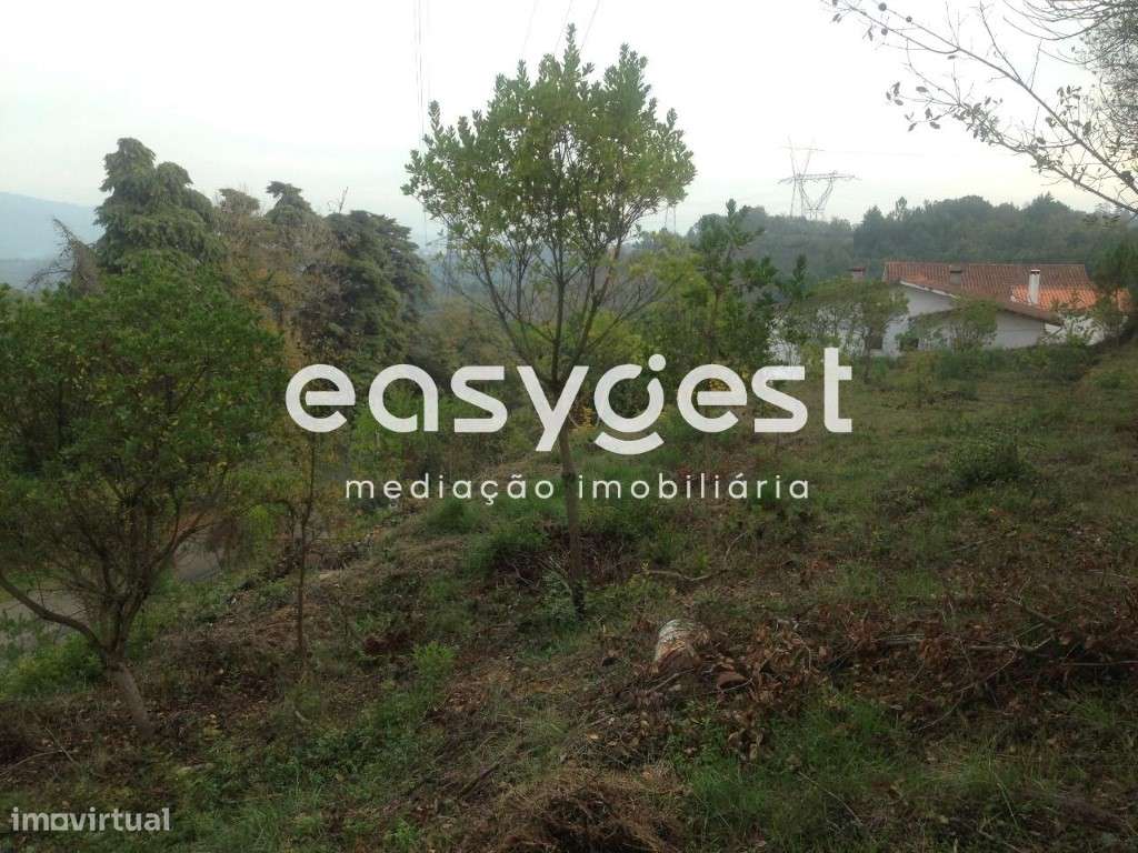 Terreno c/2000m2 Santa Clara - Grande imagem: 4/7