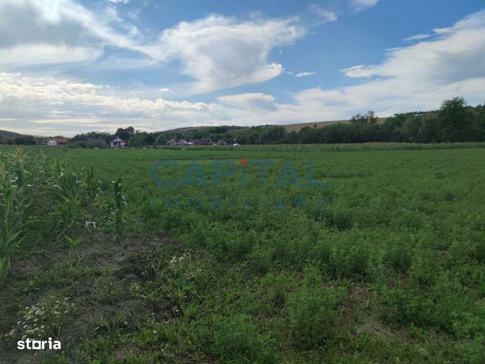 Comision %! Teren intravilan 22 400 mp, suprafata plana, sat Fundatura - Imagine principală: 2/4