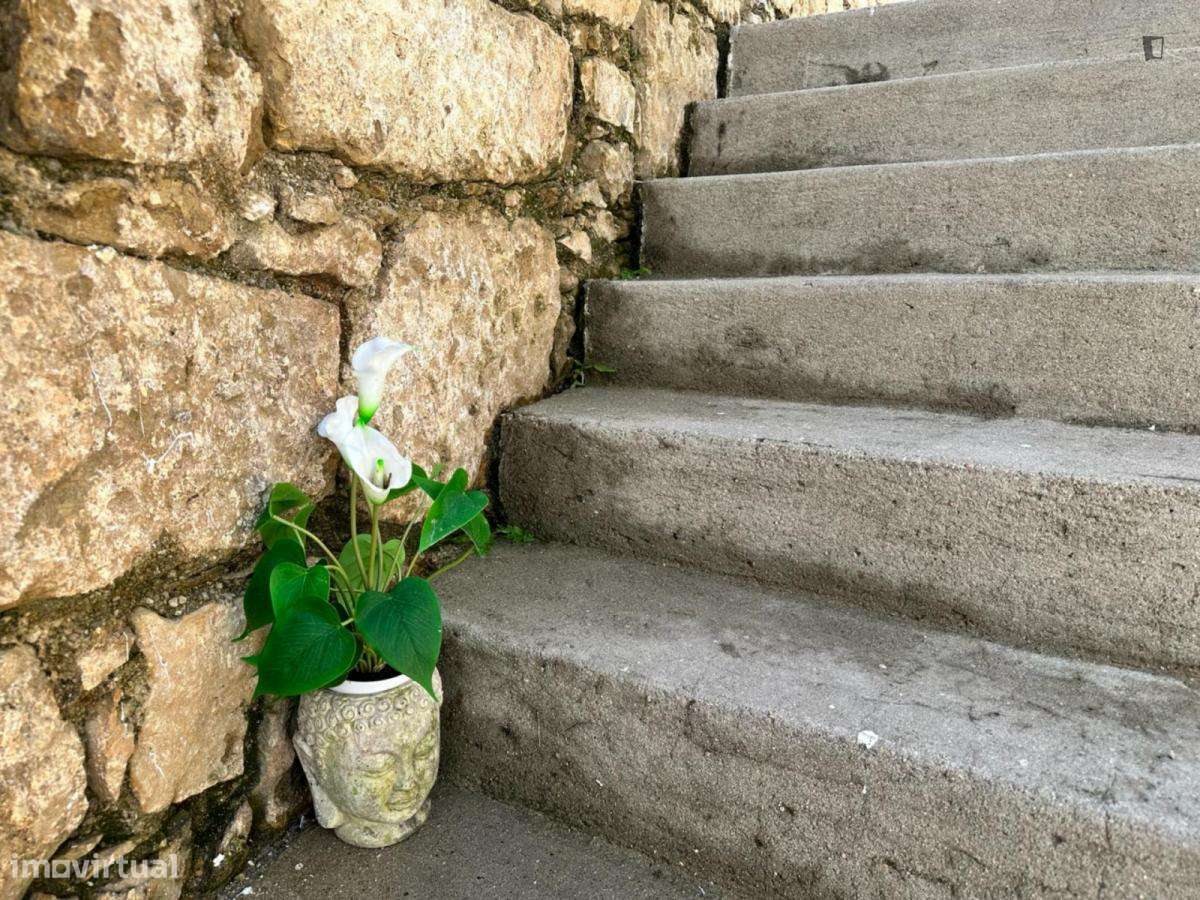 Estúdio - localizado em Norton de Matos Coimbra - Grande imagem: 5/7