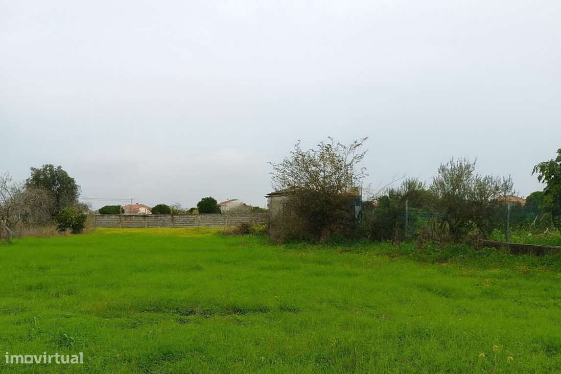 Terreno  Venda em Lavos,Figueira da Foz - Grande imagem: 5/6