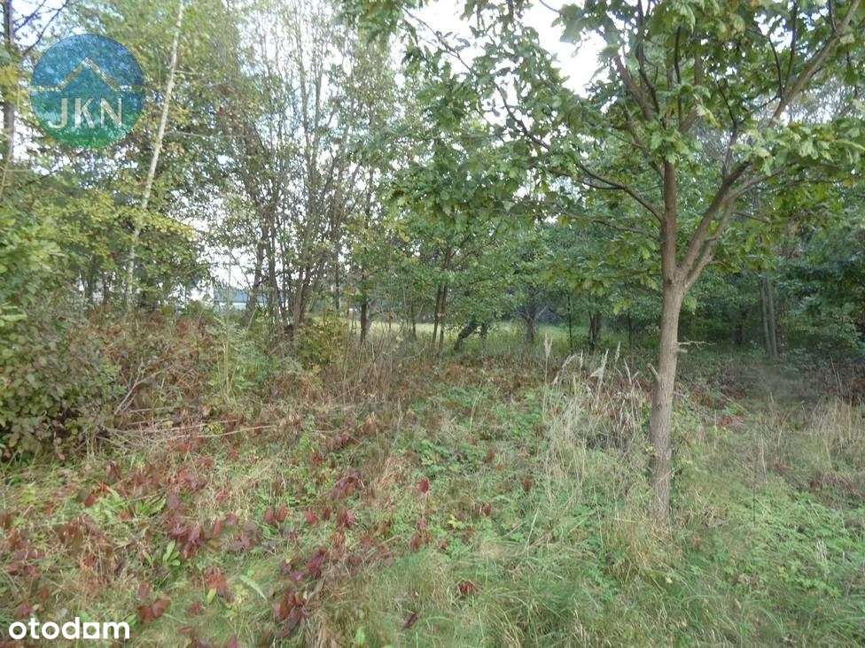 Lipowa - działka w zieleni pod dwa domy-5