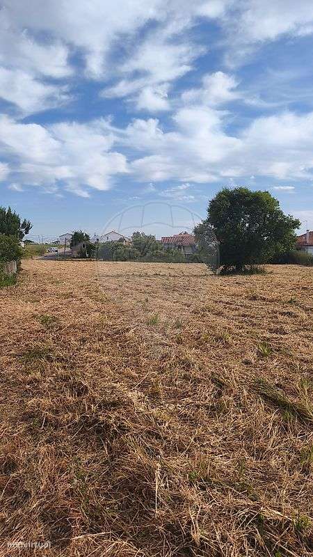 Terreno  para venda-7