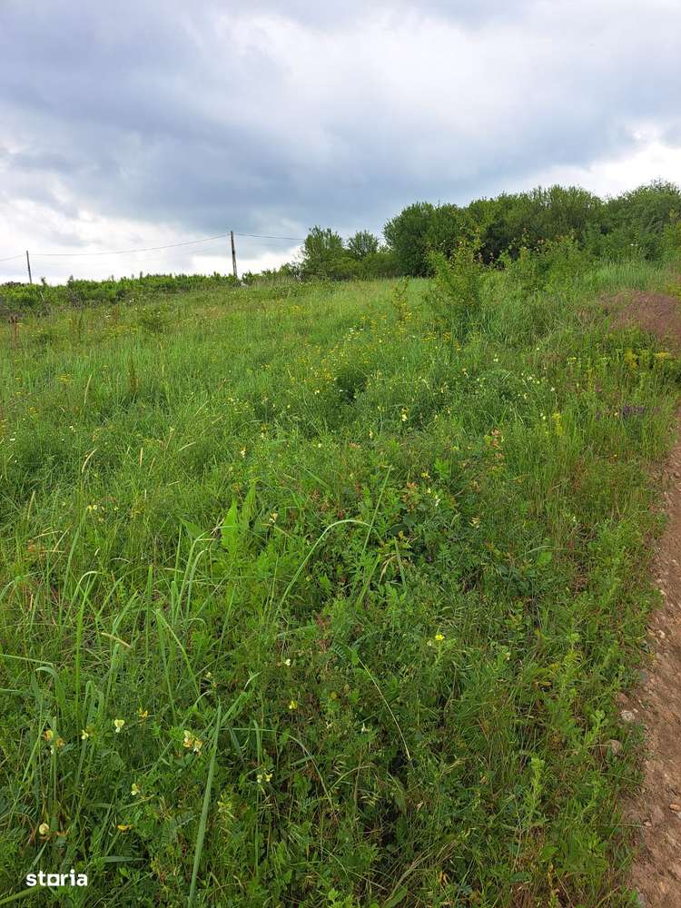 Teren intravilan 806 mp în Saldabagiu de Munte com. Paleu - Imagine principală: 1/7