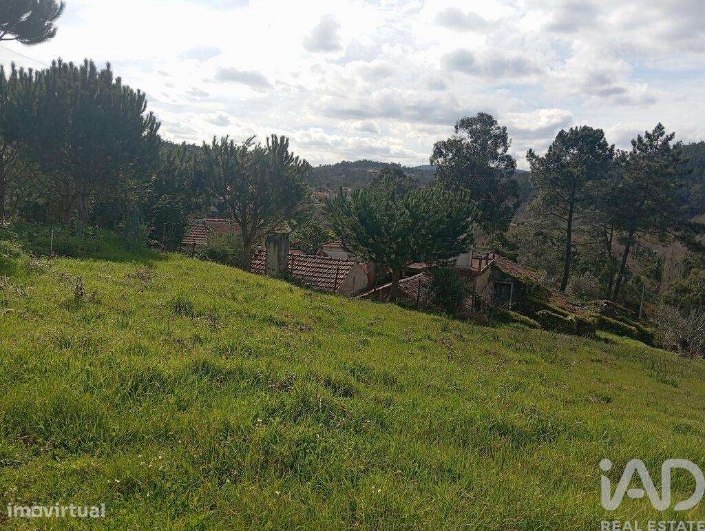 Terreno em São Miguel, Santa Eufémia e Rabaçal de 3870,00 m2 - Grande imagem: 4/10