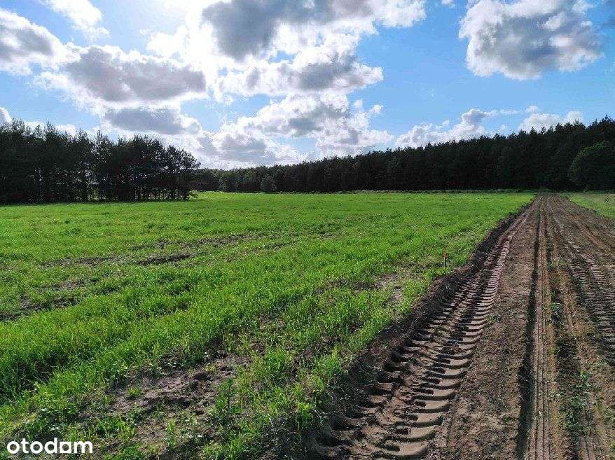 Działki Budowlane Przy Lesie Państwowym - Pełny obrazek: 5/6
