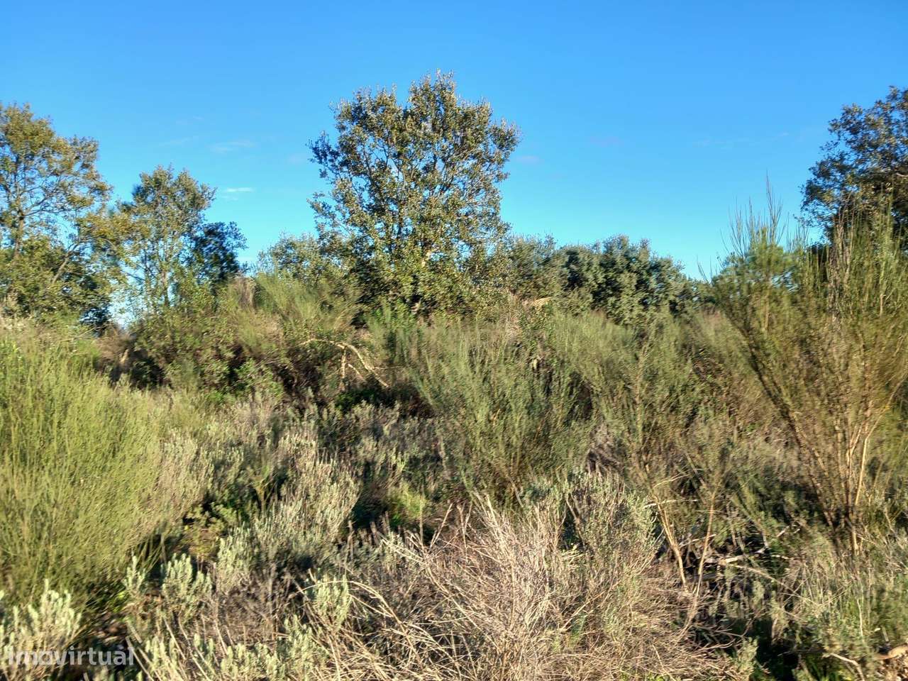 Terreno Rustico em Aranhas - Grande imagem: 3/20