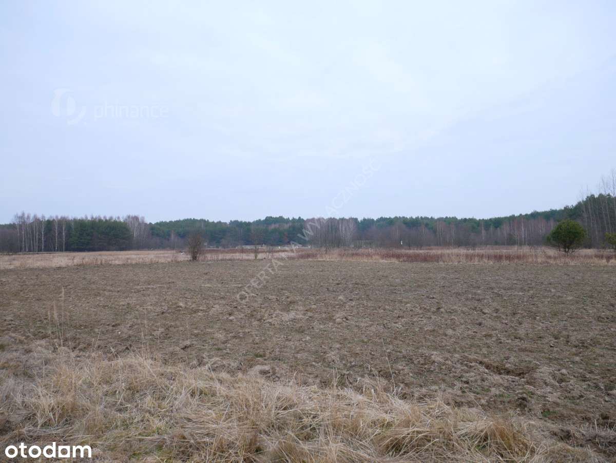 Działka 29,54 ar, rolno-budowlana z Wz, Grębów - Pełny obrazek: 4/9