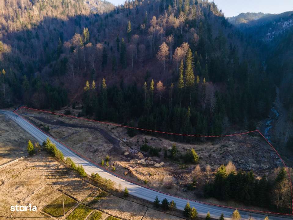 Oportunitate de investitie! Teren intravilan, Colibita, jud. Bistrita--1