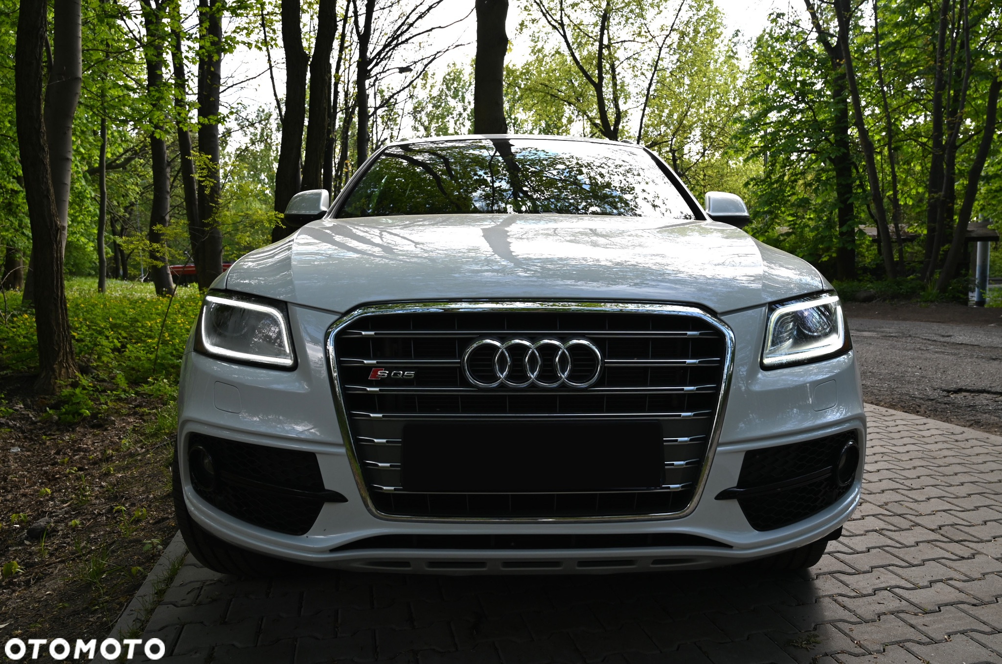 Audi SQ5 3.0 TFSI Quattro Tiptronic - 18