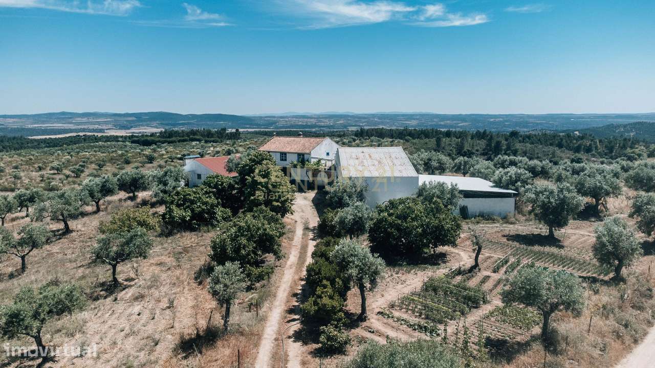 Quinta 54ha, Escalos de Baixo, Castelo Branco - Grande imagem: 3/60