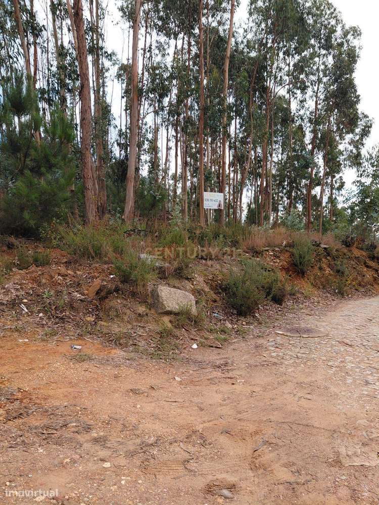 Terreno Rústico 1395 m2 na Foz do Sousa!!! - Grande imagem: 4/8