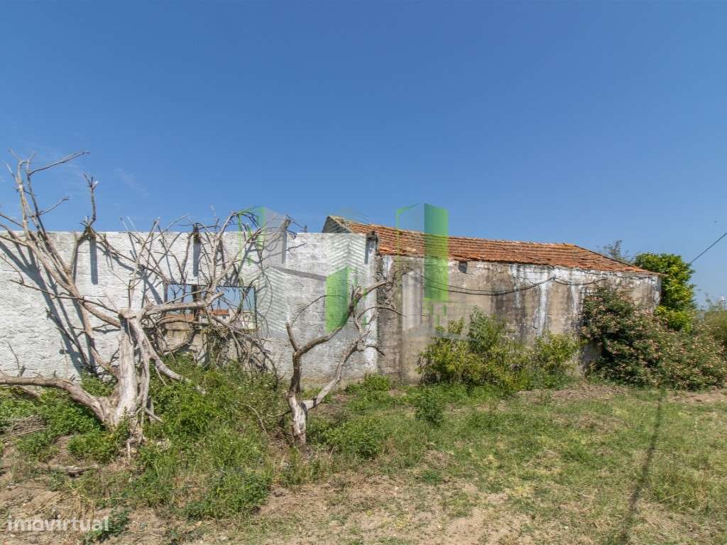 Venda de Terreno em Maiorca Terreno rústico com possibilidade de co... - Grande imagem: 3/15