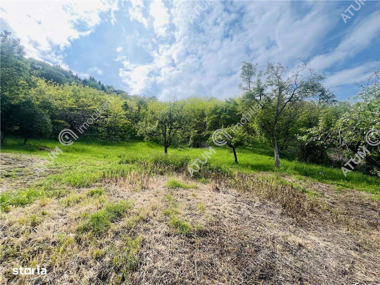 Teren intravilan de 1811 mp situat in Sibiel judetul Sibiu - Imagine principală: 5/13